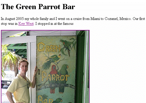 Screenshot of GreenParrotBar.html