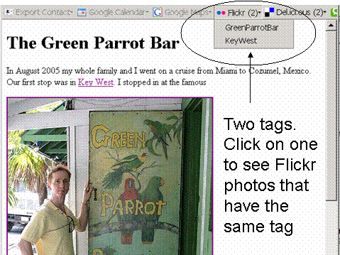 Browser Web tool displays the tags on the page